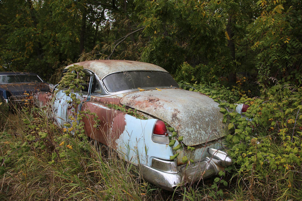 <p>This 1953 Cadillac is looking pretty good for a 70-plus-year-old junkyard resident, and is still relatively rust-free. It’s rare to find these with intact taillights and look how that <strong>rear bumper gleams</strong>. Helping its longevity is its location in the yard. Like the Buick, it’s parked in a field at the edge of the forest, meaning it gets to dry-out in the Iowa sunshine.</p>