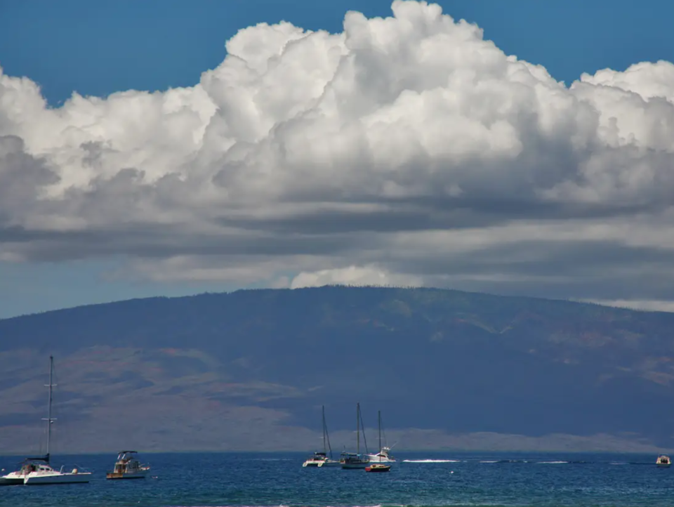 Die hawaiianische Insel Lana'i gehört Larry Ellison. - Copyright: Ted Soqui/Getty Images