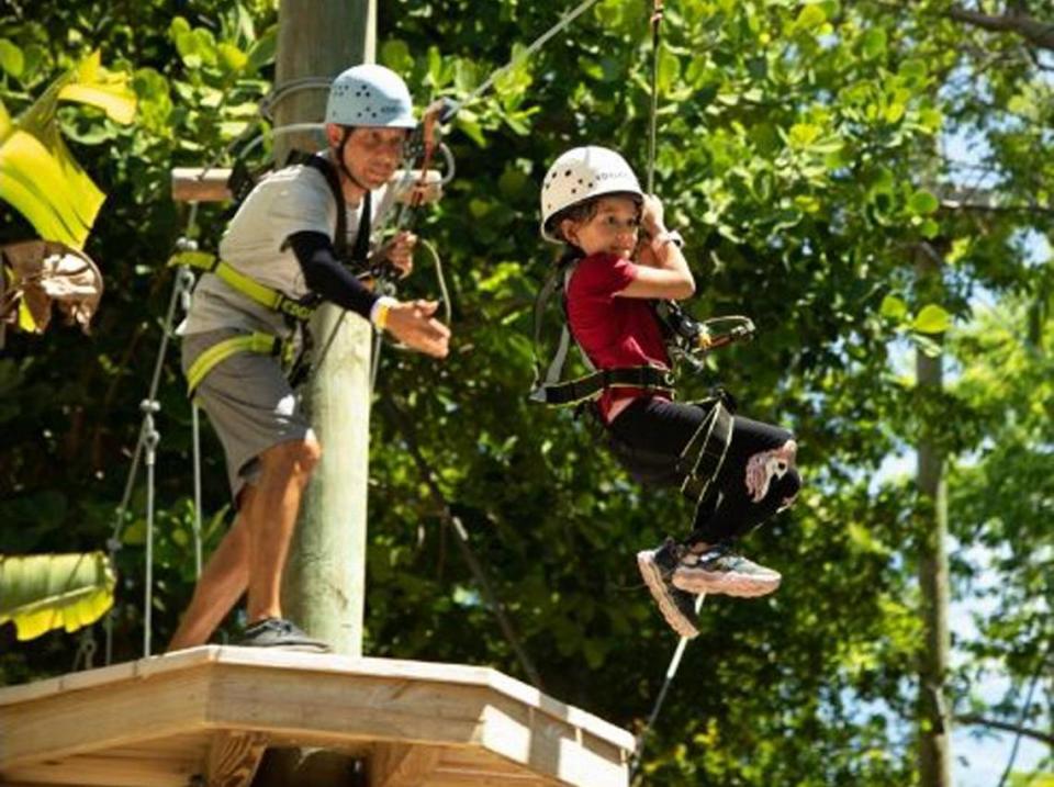 Treetop Trekking Miami abierto todos los días en el Parrot Jungle.