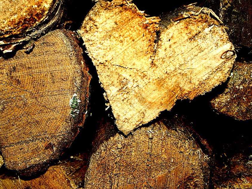 lumber wood tree heart