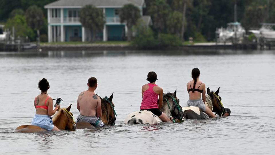 Horseback riding along Bradenton’s Palma Sola Bay has been debated over the year. Dave Tomasko, executive director of the Sarasota Bay Estuary Program said more research is necessary to determine whether horses impact water quality. On Thursday, July 27, three beach horse companies were working in the bay.