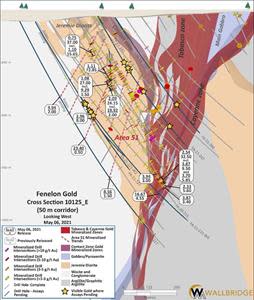 Fenelon Gold, Cross Section 10125_E