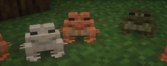 Minecraft 基岩加入青蛙與蝌蚪測試 還有全新的青蛙光源
