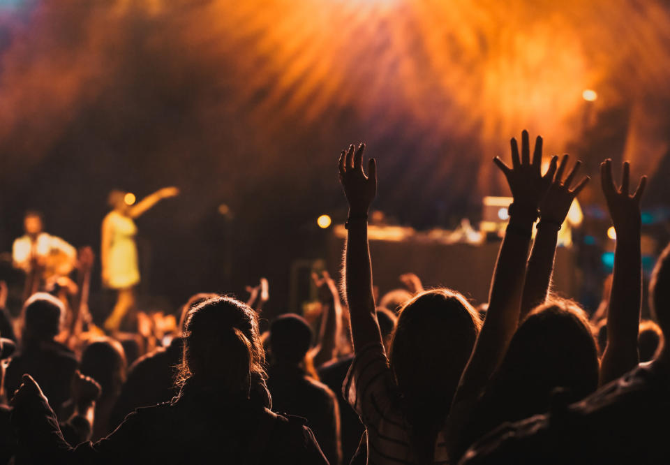 crowd at a concert