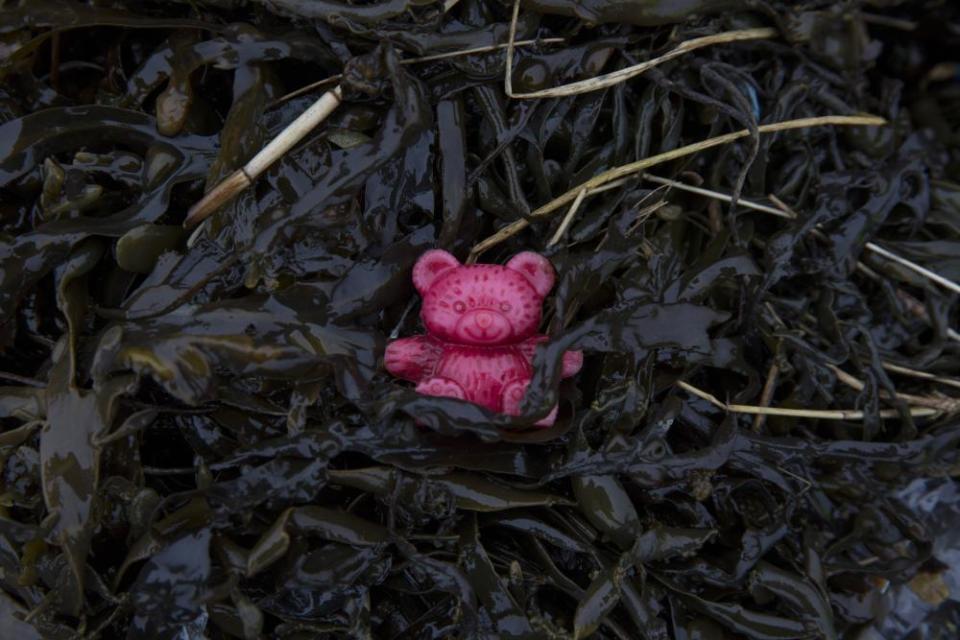 Plastics waste on the shore of the Thames Estuary in Cliffe, Kent