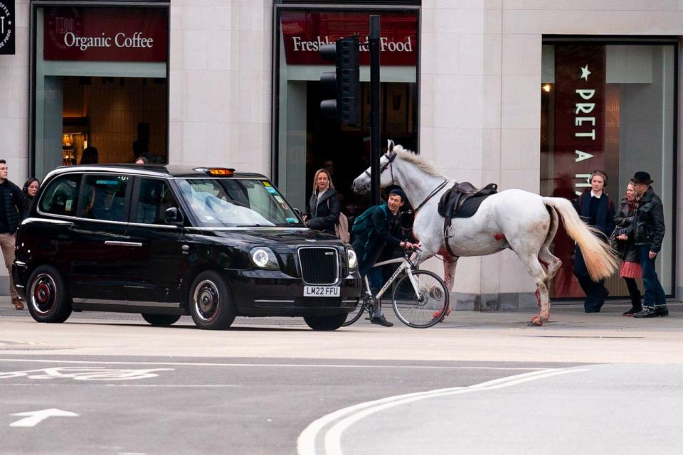 PHOTO: A white horse on the loose bolts through the streets of London near Aldwych, on April 24, 2024.  (Jordan Pettitt/PA via AP)