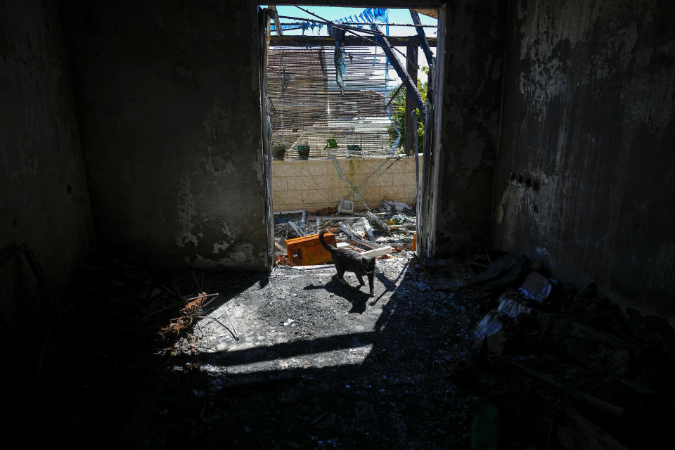 A cat searches for food in a house burnt by rockets fired by Hezbollah in Kiryat Shmona, northern Israel, on the border with Lebanon, Thursday, Feb. 29, 2024. Around 60,000 Israelis who evacuated from cities and towns along the border with Lebanon are grappling with the question of when they will be able to return home. Hezbollah began launching rockets towards Israel one day after Hamas-led militants stormed into southern Israel on Oct. 7. (AP Photo/Ariel Schalit)