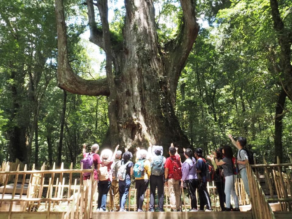 許多客人因為司馬庫斯行程，愛上了正一旅遊的慢遊模式