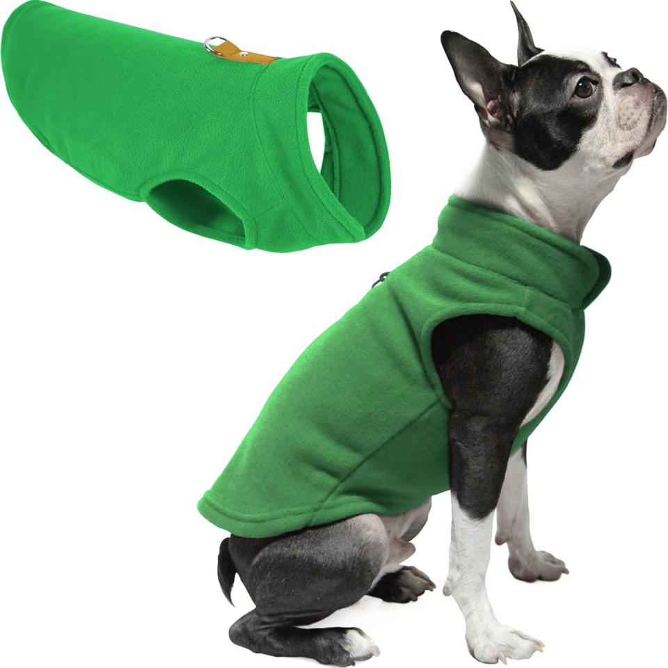 fleece dog sweater, small dog sweater, gooby, 