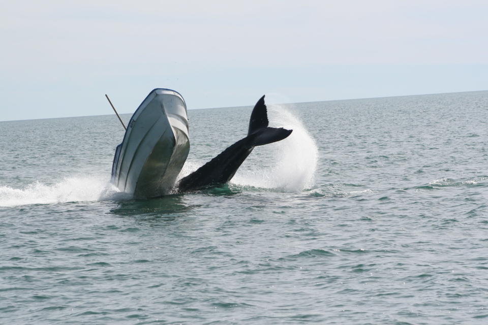 Die Insassen des Fischerbootes kamen glücklicherweise mit einem Schrecken davon und konnten sich schwimmend retten.