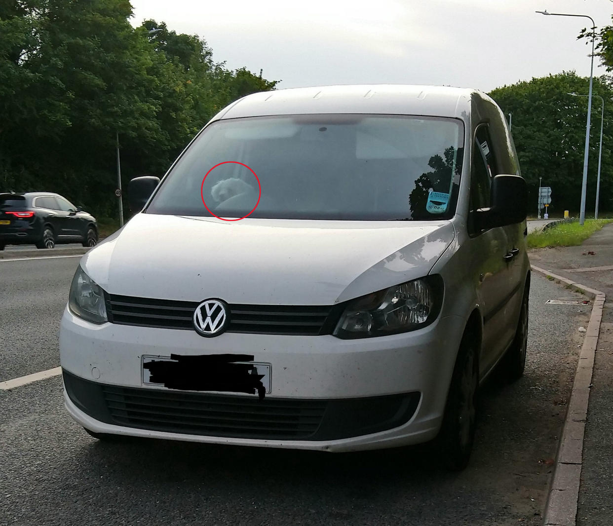 The van belonging to a man who was pulled over doing 90mph - with his dog (visible in the driver's seat, circled) on his lap, on the M20 in Kent. (SWNS)