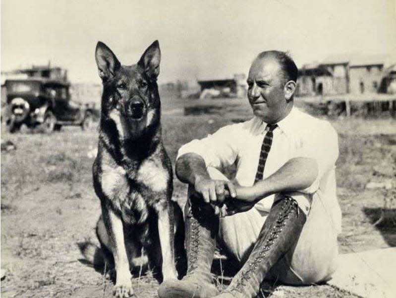 rin tin tin