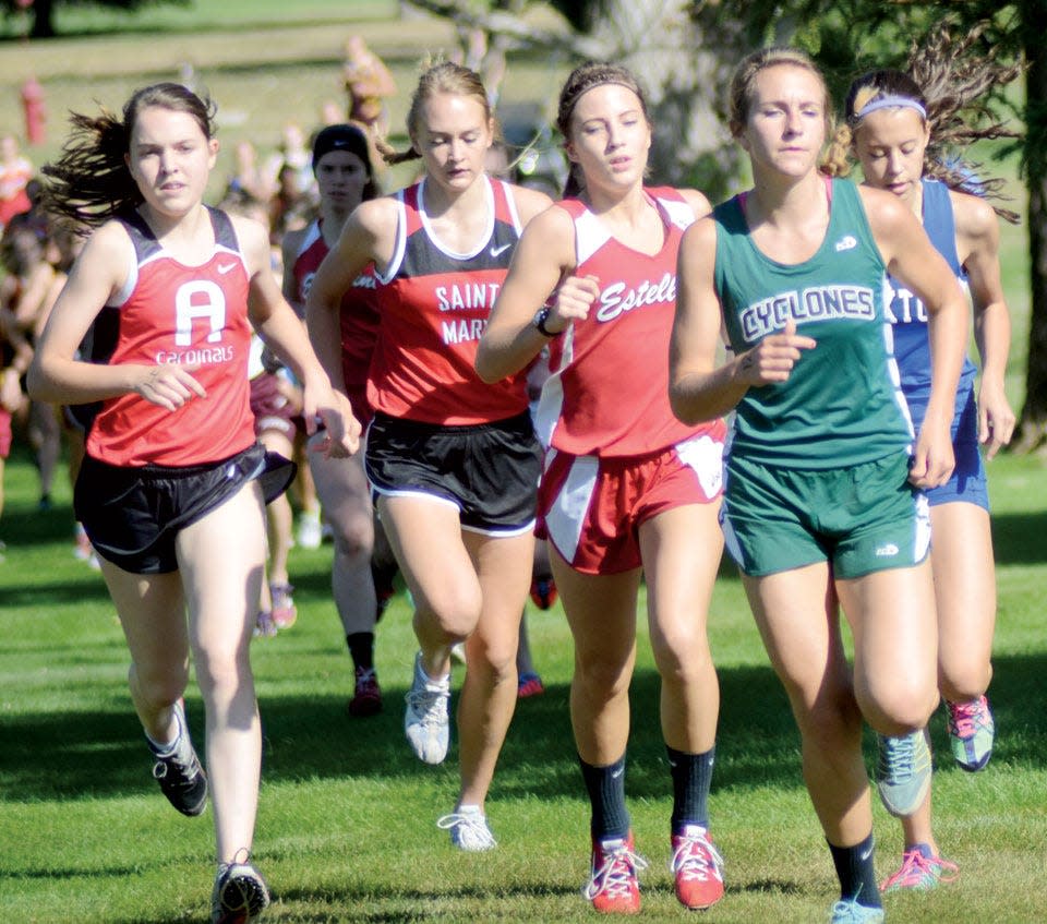 Area runners Mikayla Prouty of Clark-Willow Lake (second from right), Janae Sampson of Arlington (left) and Savannah Dolezal of Estelline each were standout cross country runners in the early 2010s.