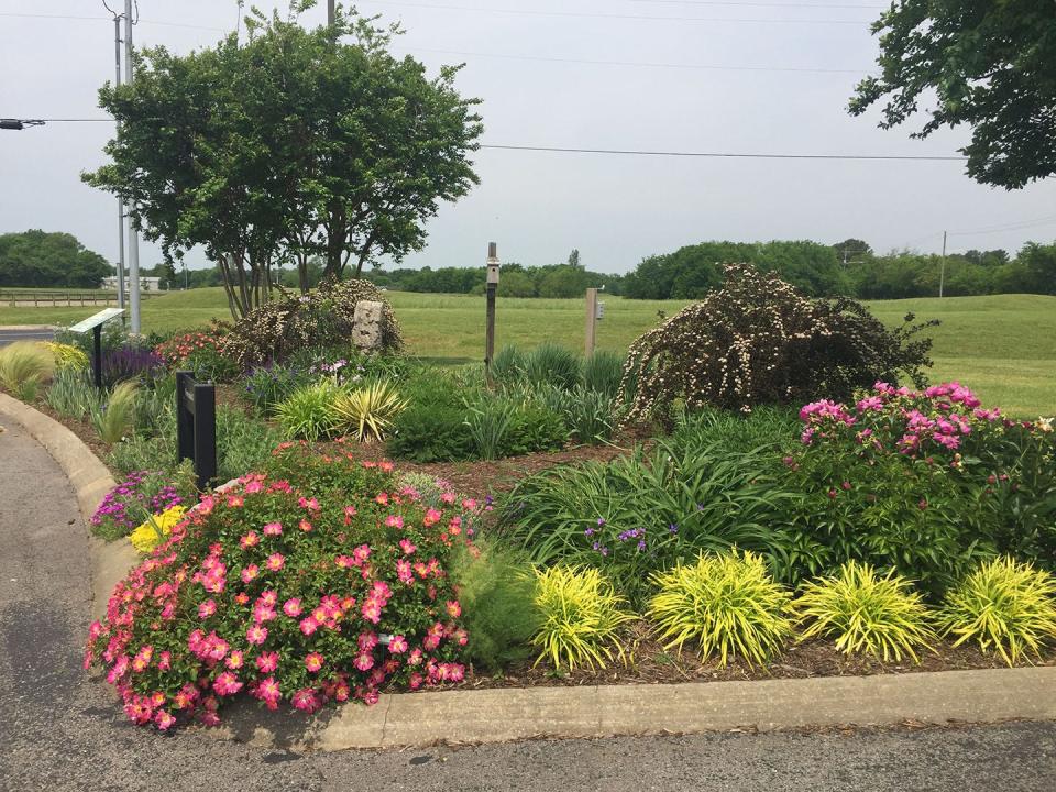 The Master Gardeners of Rutherford County will give interactive explorations of the demonstration gardens they maintain at Lane Agri-Park in Murfreesboro during the Secret Garden Tour June 4-5, 2022.