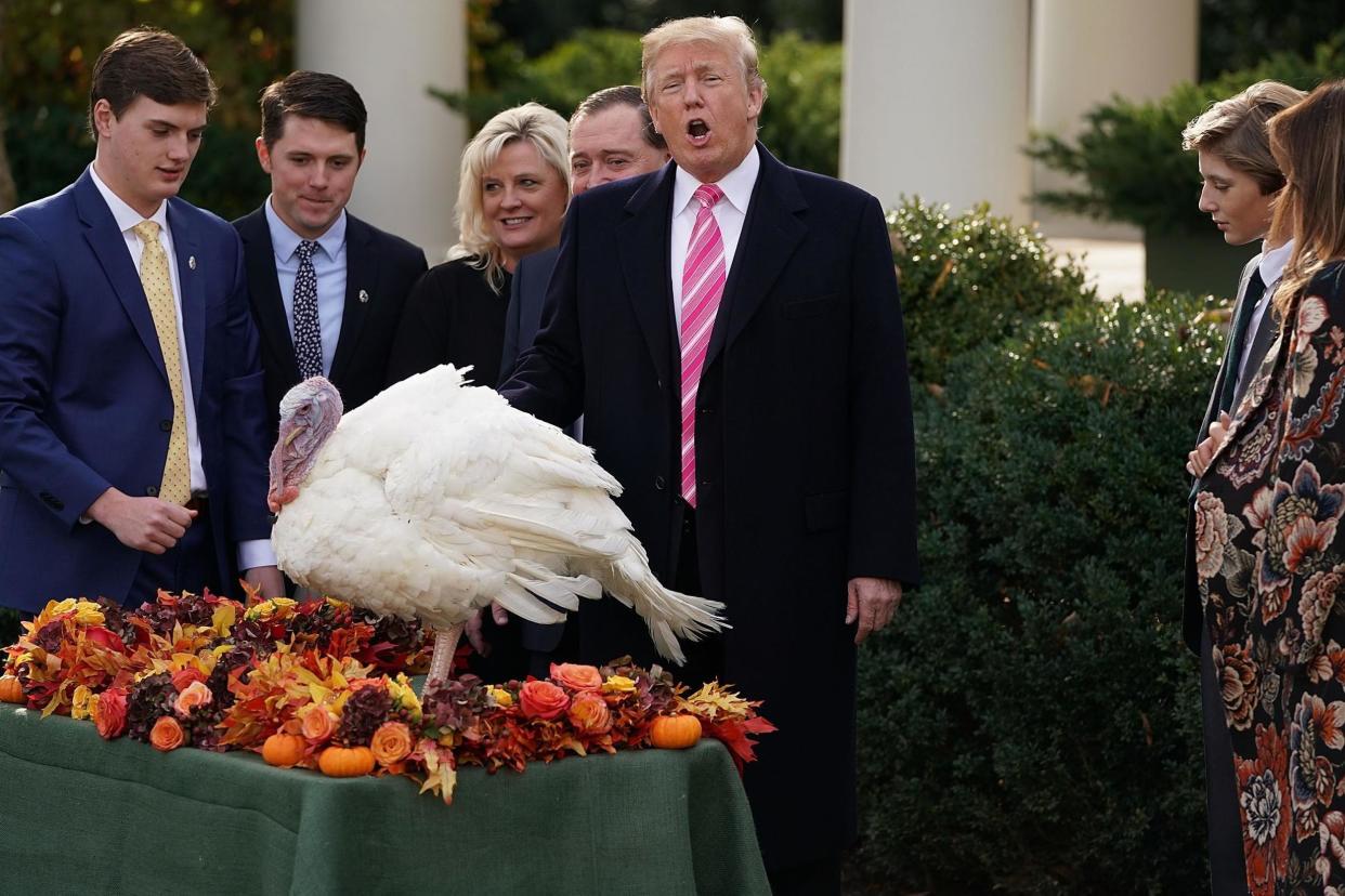 Each year, the president pardons turkeys