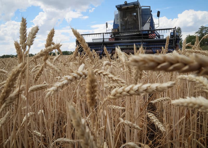 FOTO DE ARCHIVO. Agricultores cosechan trigo, en medio del ataque de Rusia a Ucrania, en la región del Dombás, Ucrania