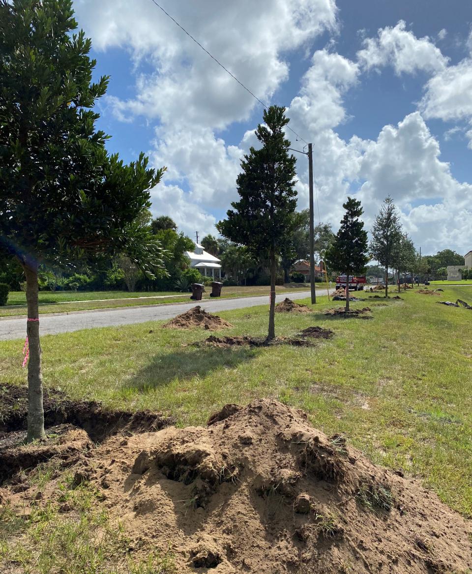 Lake Wales recently installed trees at Crystal Lake Park. The city is in the midst of various projects intended to increase the greenery in keeping with the original plan from 1931.