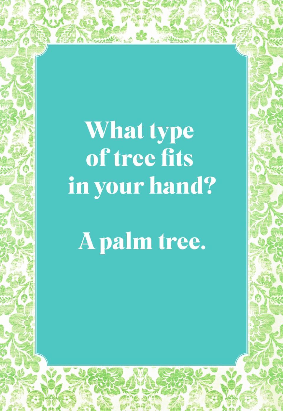 What type of tree fits in your hand?