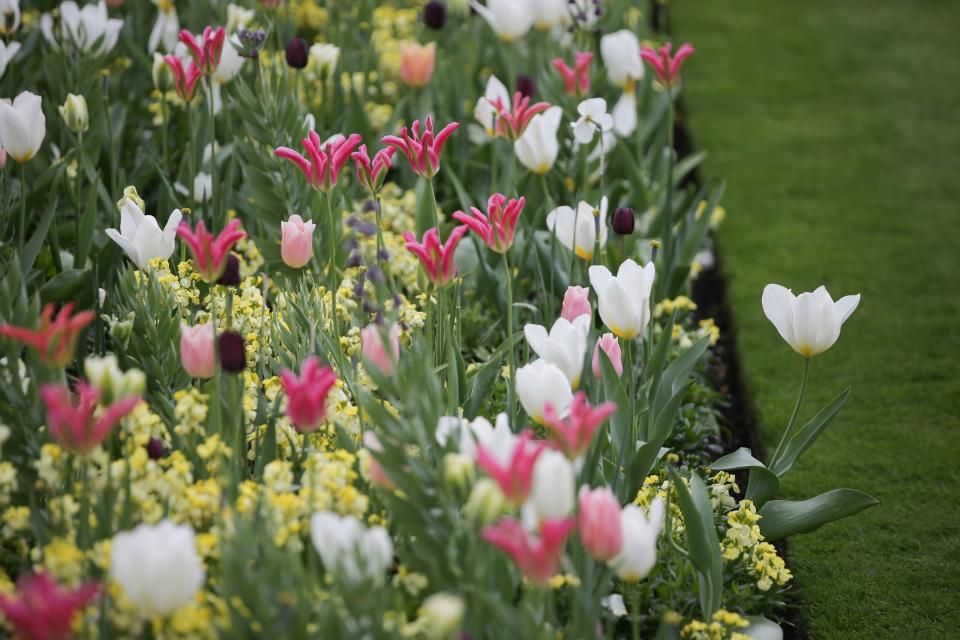 The garden commemorates the 20th anniversary of her death.