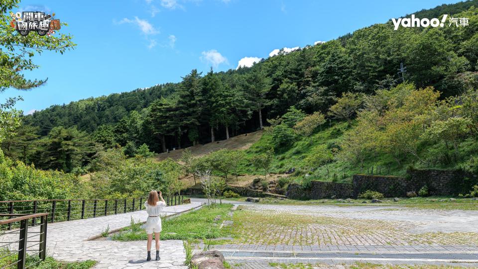  【開車國旅趣】向陽國家森林遊樂區－前往仙境的人間入口