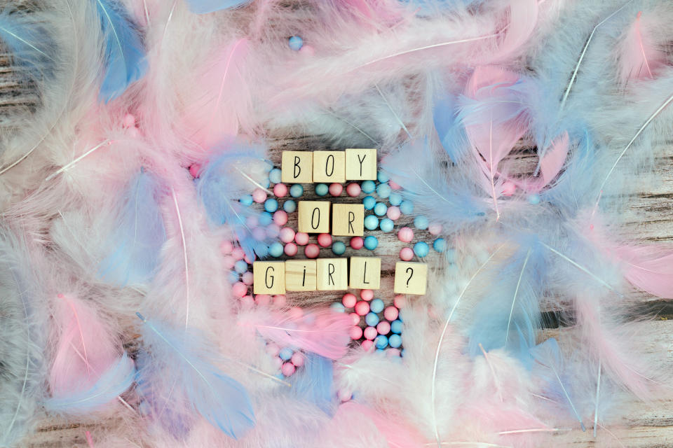 Boy or Girl text surrounded with pastel colored feathers, Gender reveal gathering party concept. Baby announcement. Flat lay,text space. background texture greeting card