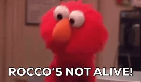 elmo saying "rocco's not alive"