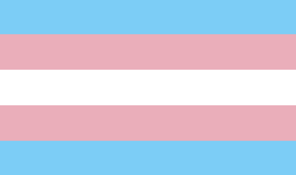 14) Transgender Flag