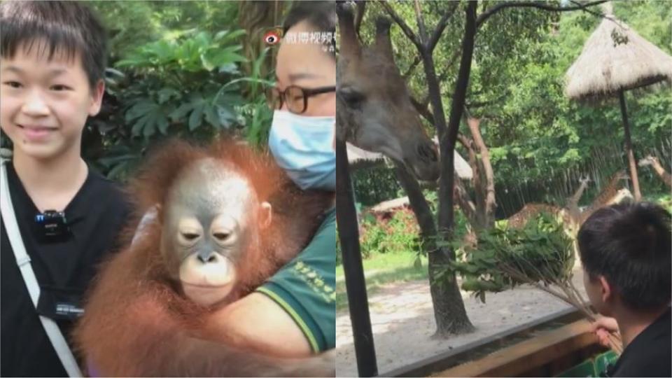 張眼即訓練！14年來從未去過動物園 東奧跳水金牌中國女將終圓夢