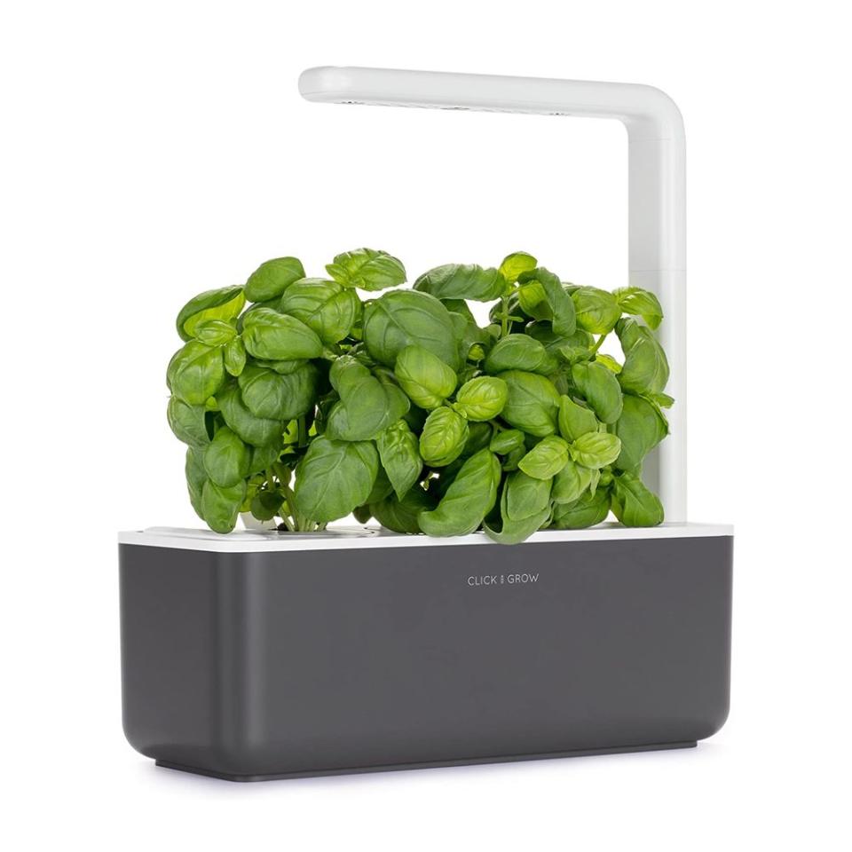 <p><a href="https://www.amazon.com/Click-Grow-Smart-Garden-Indoor/dp/B01MQY9UWW/ref?tag=syn-yahoo-20&ascsubtag=%5Bartid%7C2089.g.223%5Bsrc%7Cyahoo-us" rel="nofollow noopener" target="_blank" data-ylk="slk:Shop Now;elm:context_link;itc:0;sec:content-canvas" class="link ">Shop Now</a></p><p>Self-Watering Smart Indoor Garden</p><p>amazon.com</p><p>$99.95</p>