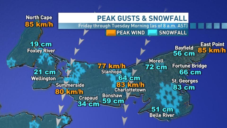 The final numbers are in for how much snow fell across Prince Edward Island in the past five days, as well as how high the winds got.