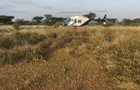 Locusts swarm on the ground south of Lodwar town in Turkana county, northern Kenya Tuesday, June 23, 2020. The worst outbreak of the voracious insects in Kenya in 70 years is far from over, and their newest generation is now finding its wings for proper flight. (AP Photo/Boris Polo)