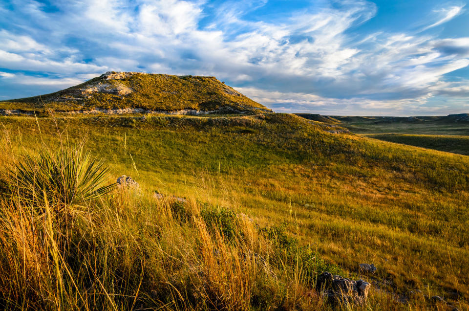 Dried brush and grassy plains lead up to the raised Agate fossil beds.