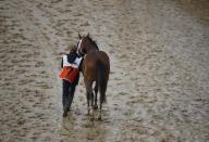 FILE - Maximum Security is walked off the track after being disqualified following the 145th running of the Kentucky Derby horse race at Churchill Downs in Louisville, Ky., May 14, 2019. (AP Photo/Charlie Riedel, File)