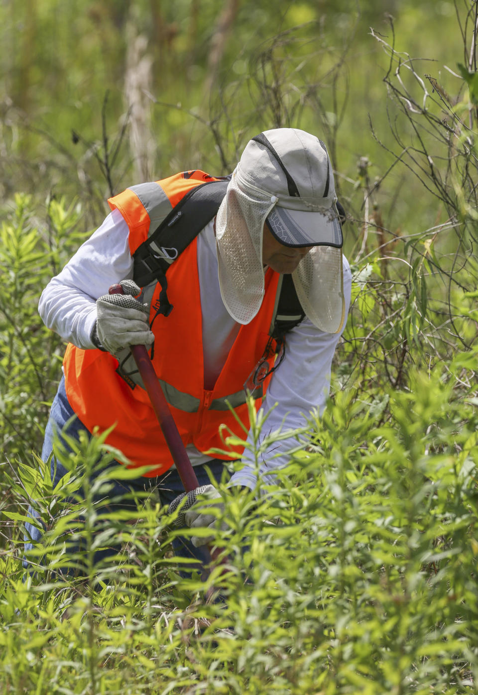 Jim Reynolds, with Texas EquuSearch, conducts a search for Maleah Davis Monday, May 6, 2019, in Humble, Texas. Houston police are trying to determine what happened to the 4-year-old girl after her stepfather said she was taken by men who released him and his 2-year-old son after abducting them as well. (Godofredo A. Vásquez/Houston Chronicle via AP)