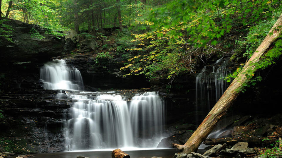 Ricketts Glen Falls