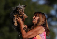 <p>Yvonne Morones lifts up Scamp the dog as they compete for the title of world’s ugliest dog. (Justin Sullivan/Getty Images)</p>