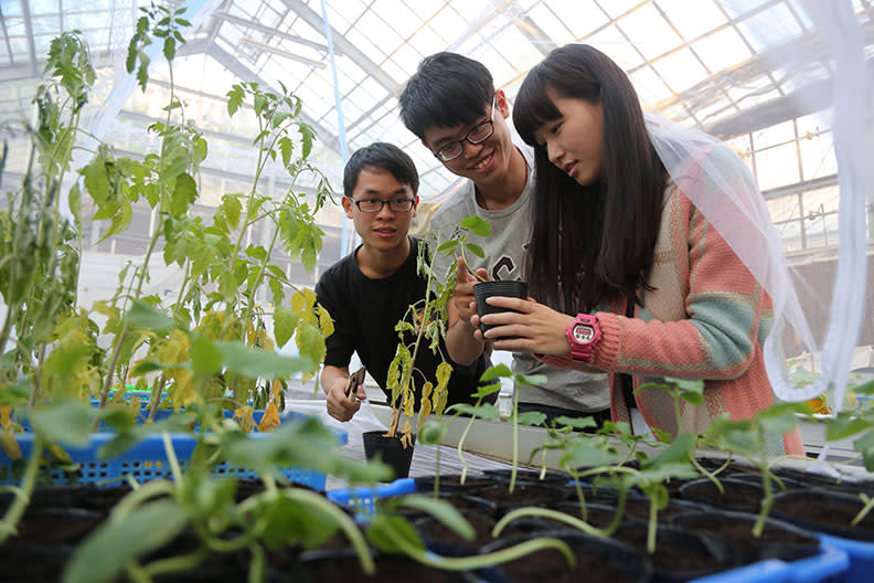 中興大學在農業生技方面實力堅強，近年更聘請世界級大師擔任玉山學者，目標成為亞太稻米研究最先驅基地。