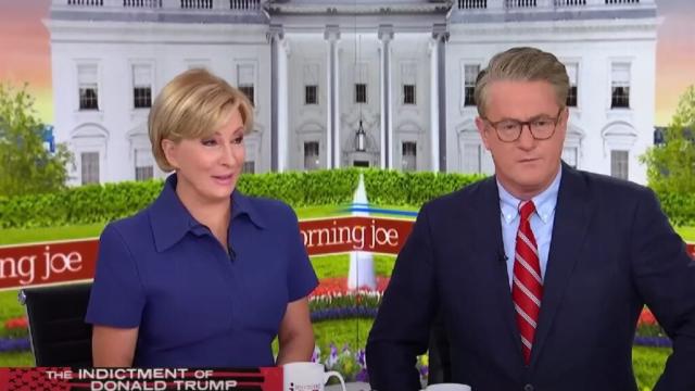 Morning Joe' Drags Kevin McCarthy's 'Dumbest' Defense of Trump Storing Docs  in a Bathroom: 'Like Fighting With an Idiot' (Video)