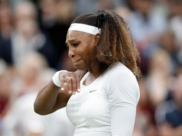 Serena Williams (file image)