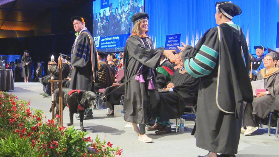 Jessica Kensky walks the graduation stage with her service dog, Rescue / Credit: CBS Boston