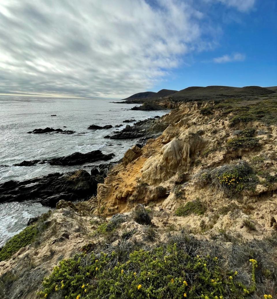 Harmony Headlands State Park features a trail that starts just off Highway 1 and ventures to the Pacific Ocean.