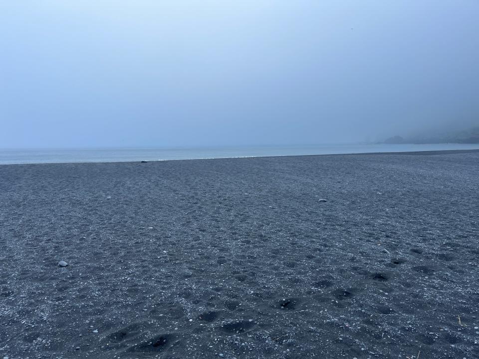 A black-sand beach in Iceland.