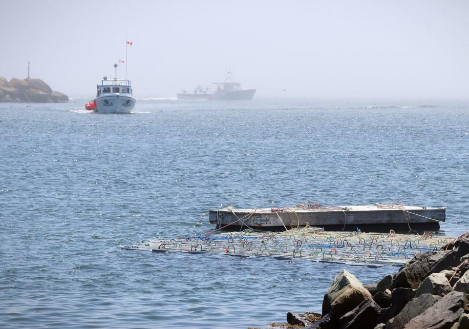 Crates of lobsters are tied together and floating in the harbour on Monday as fishing boats bring in more catch in Main-a-Dieu, N.S.