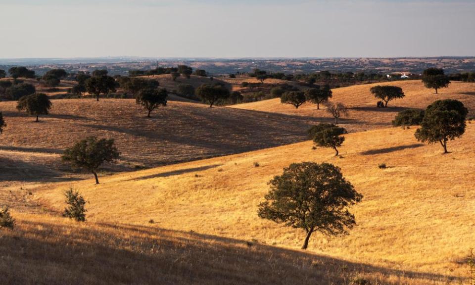 Alentejo landscape.