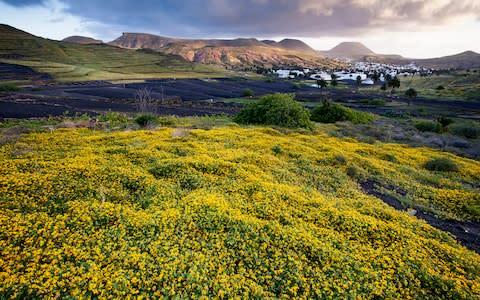 The village of Haría - Credit: getty