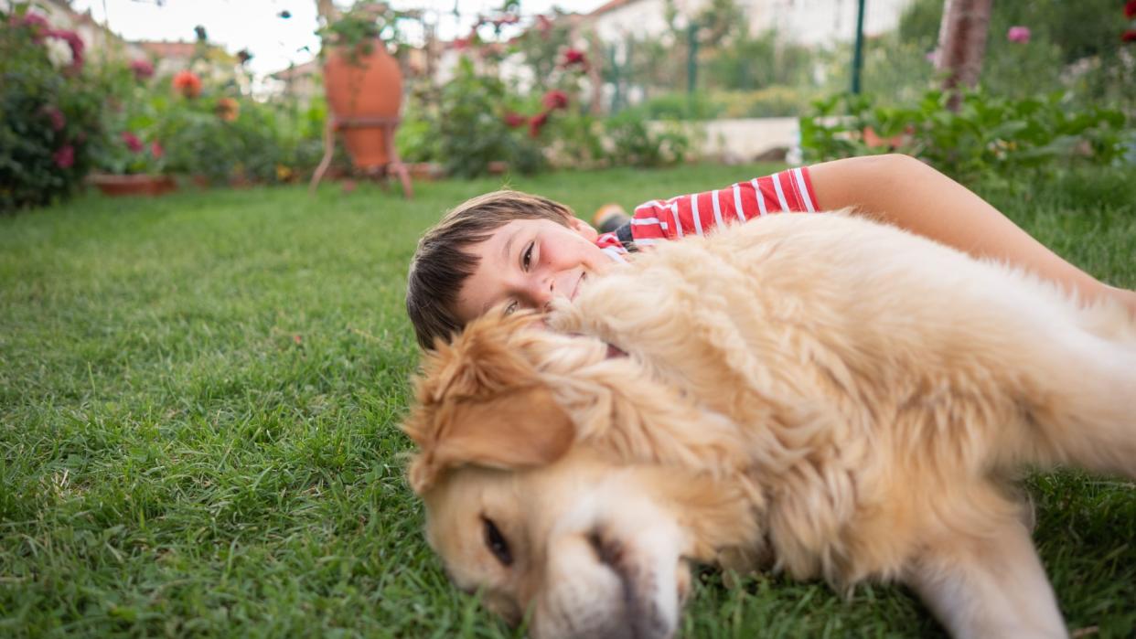 Child and dog laying in the garden playing