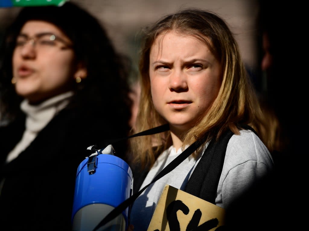 Greta Thunberg has hit out at people celebrating the planet on Earth Day while ‘at the same time destroying it’ (Paul Wennerholm/EPA)