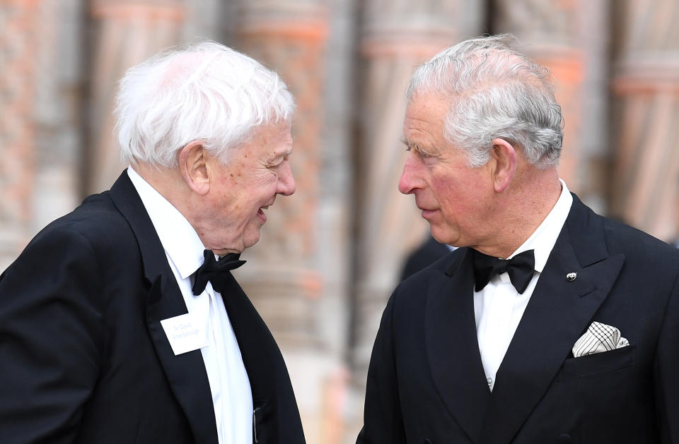 Sir David Attenborough and The Prince of Wales at the premiere of Netflix's Our Planet, held at the Natural History Museum in London. (PA)