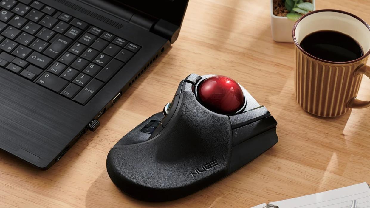  Huge trackball mouse. 