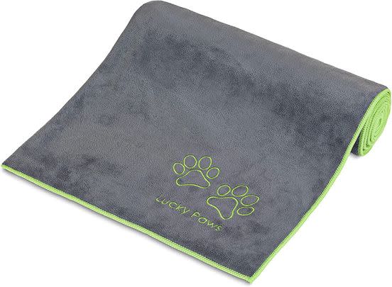A super absorbent towel will be your best friend after wet walks